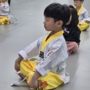 피어나라 태권도 이미지