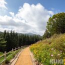 보훈목장 이미지