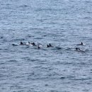 노을해안로 이미지