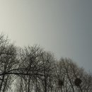 군자 낚시터 이미지