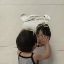 단양 어린이집 이미지