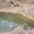 자연공인중개사합동사무소 이미지