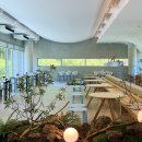 카페 엘리스(cafe Elis) | 대구 가창 신상 대형카페 부푼 BUPUN 주차 좌석 메뉴 내돈내산 후기