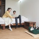 멍멍스쿨 이미지