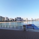 비치부동산공인중개사사무소 이미지