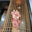 깍두기바비큐 이미지