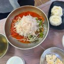 완도회식당 | 내돈 내산 속초 물회 맛집 비교 추천 후기 [완도회식당, 청초수물회] 가보자고~!~