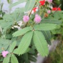 큰샘농원 이미지