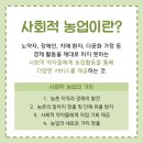 산야초치킨마을