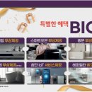 선운지구진아리채 이미지