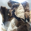 유승엽한의원 이미지