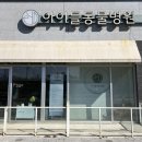화승종합동물병원 | 전주안과동물병원 만성동 아이들동물병원 안과종합검진 상세후기