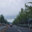 춘천우두LH천년나무1단지 이미지