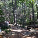 산성등산로3 이미지