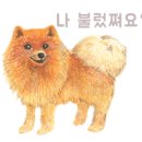 개진주유소 이미지