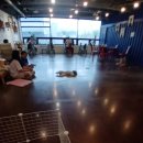 애견카페&호텔 댕댕당 | 행신동 깨끗한 애견카페호텔 댕댕당