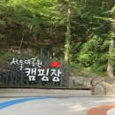 그늘막132 | 과천ㅣ서울대공원 캠핑장 1야영장 132번 중형텐트 1박 후기⛺️