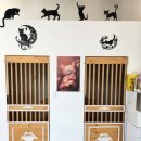 양이멍이 이미지