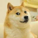 블록체인 NFT 파헤치기 이미지