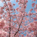 보성만나식당 이미지