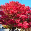 두륜산관광펜션 이미지