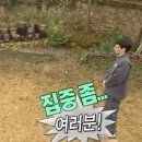 제주키즈풀빌라 나무와 아이 | 제주 동쪽숙소 구좌 프라이빗한 독채 키즈풀빌라 남매랑 간 내돈내산 후기