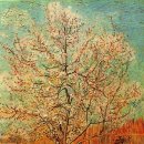 쉴만한강가 이미지