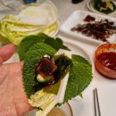 토마토의농비어천가 이미지