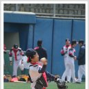 마이마트 이미지