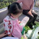 소치자연회집 | 1살,3살 아이와 함께 진도 쏠비치 가족여행 1박2일 코스 추천(+목포여행 포함)