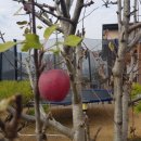 일죽IC주유소 | 사전답사:경기도 안성시 일죽면 가리길73 감성스테이 감성 farmer 제품 : 디럭스바렐사우나250