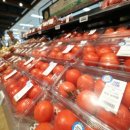 사라마트 이미지