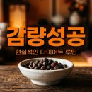 성공적인 실패전략과 실패하는 성공전략 | 감비환 다이어트 3번 실패 후 성공한 루틴 | 솔직한 감량 후기와 현실적인 방법