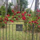 도계스크린골프 | 창원시 의창구 중동 유니시티 임장 후기