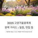 민들레다육 | 고양가을꽃축제 기본정보, 축제 일정, 포토존, 근처 맛집까지 완벽 정리