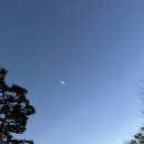 하늘달