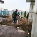 경기북부 조경시공: 제이엔조경과 함께한 우리집 정원 시공 후기