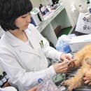 이소영동물병원 이미지