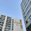 삼주,한라,협화아파트경로당 | 제발 3초만 보세요! 실력 제대로 인증 역대급 도배 후기 : 수성구 아파트 시지 한라삼주협화 짐있는집 시공