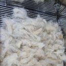 신남케어 이미지