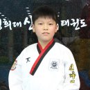 경희대신나무태권도장 이미지