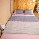 소나무세상 이미지