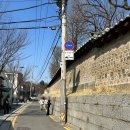 회화화장실 | 창덕궁 홍매화 명소 카페 - 회화나무, 창덕궁 주말 입장줄 보고 도망친 썰...