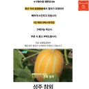 정용농장 네이버블로그
