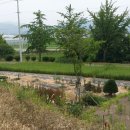 광주대주유소 이미지