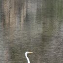 반계리 경로당 이미지