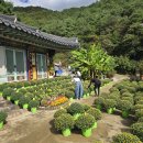 선산 궁기동 석불상(문수사) 이미지