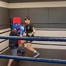 성남 탑 복싱 이미지