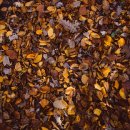 종합수지환경 이미지