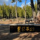 기선목장 이미지